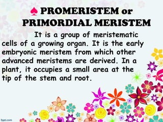 It is a group of meristematic
cells of a growing organ. It is the early
embryonic meristem from which other
advanced meristems are derived. In a
plant, it occupies a small area at the
tip of the stem and root.
♠ PROMERISTEM or
PRIMORDIAL MERISTEM
 