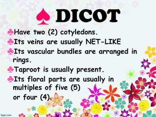 ♠ DICOT
♣Have two (2) cotyledons.
♣Its veins are usually NET-LIKE
♣Its vascular bundles are arranged in
rings.
♣Taproot is usually present.
♣Its floral parts are usually in
multiples of five (5)
or four (4).
 
