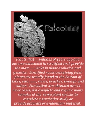 Plants that lived millions of years ago and
became embedded in stratified rock provide
the most accuratelinks in plant evolution and
genetics. Stratified rocks containing fossil
plants are usually found at the bottom of
lakes, seas, lagoons, rivers, beaches, swamps and
valleys. Fossils that are obtained are, in
most cases, not complete and require many
samples of the same plant species to
complete a particular study or
provide accurate or evidentiary material.
 