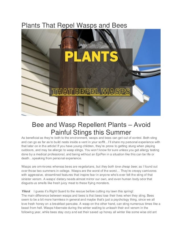 Plants that repel wasps and bees