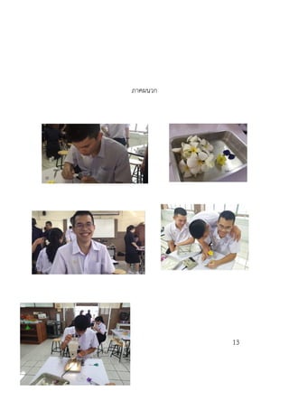 ภาคผนวก
13
 