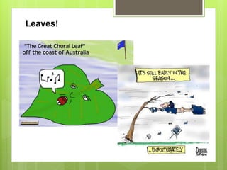 Leaves!
 