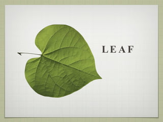 LEAF 