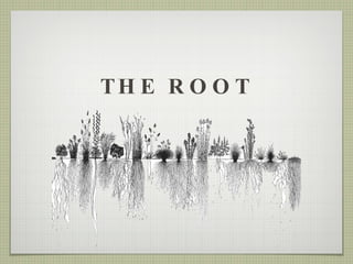 THE ROOT 