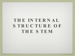 THE INTERNAL  STRUCTURE OF THE STEM 