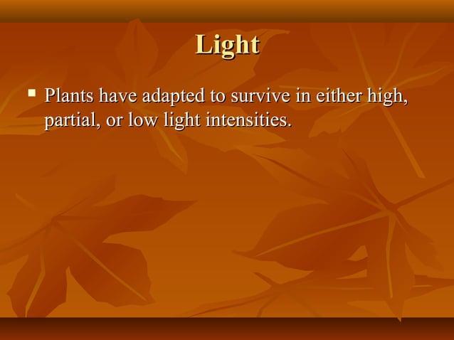 Plant structure and function | PPT
