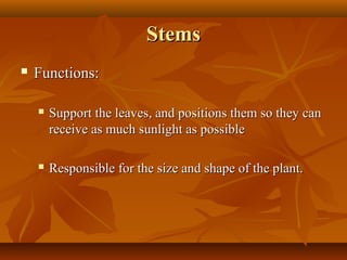 Plant structure and function | PPT
