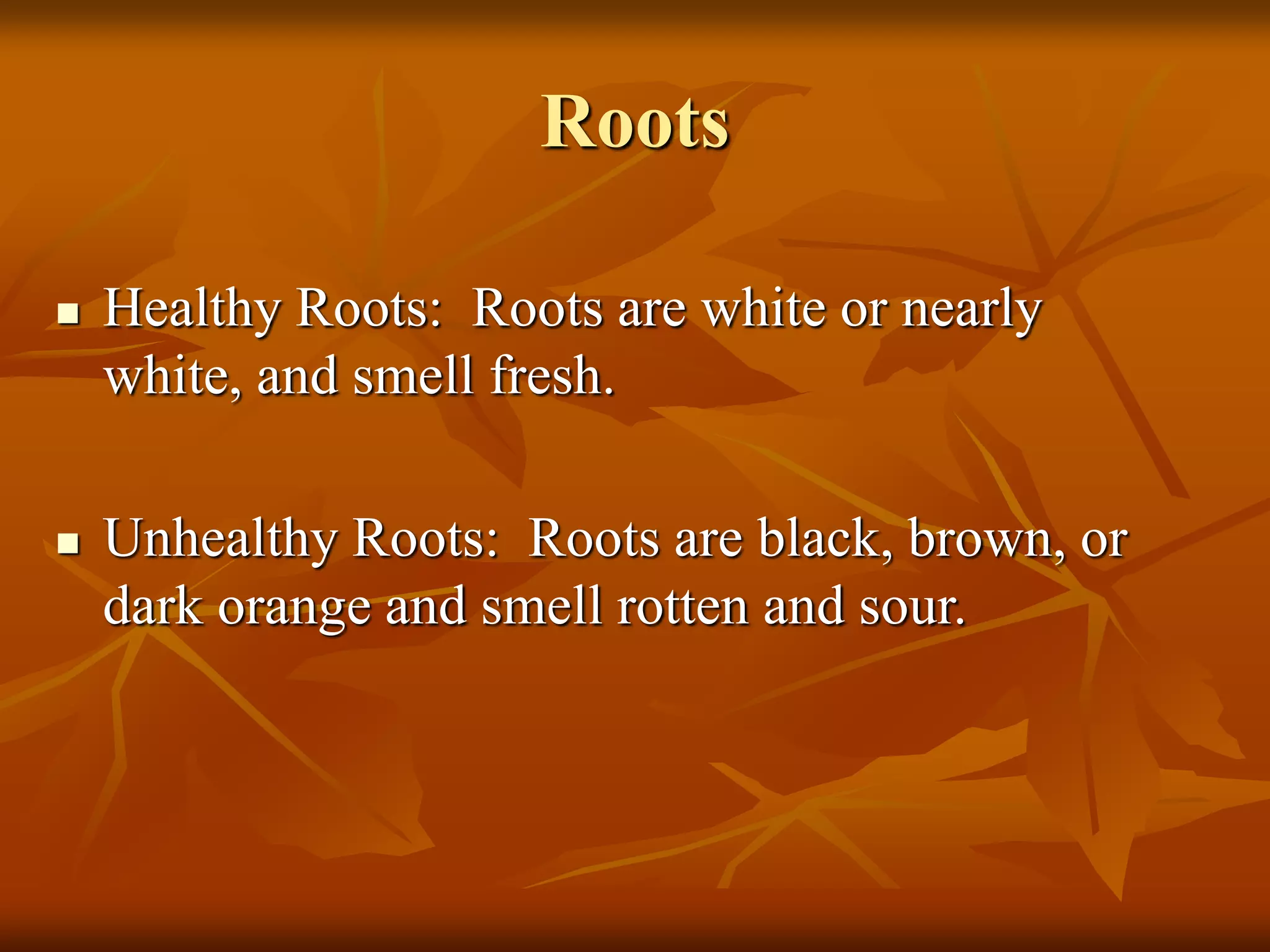 Roots
 Healthy Roots: Roots are white or nearly
white, and smell fresh.
 Unhealthy Roots: Roots are black, brown, or
dark orange and smell rotten and sour.
 