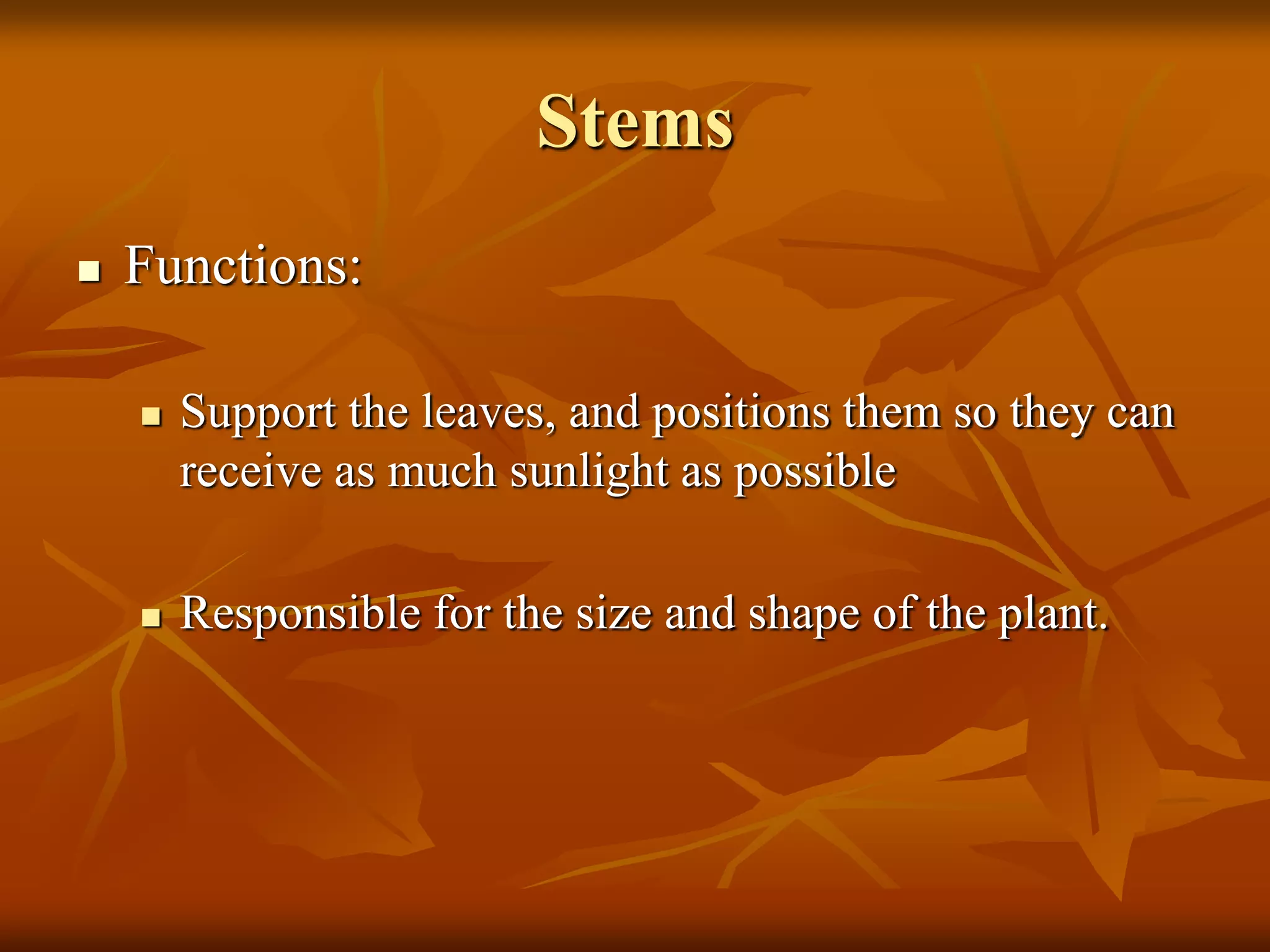 Stems
 Functions:
 Support the leaves, and positions them so they can
receive as much sunlight as possible
 Responsible for the size and shape of the plant.
 