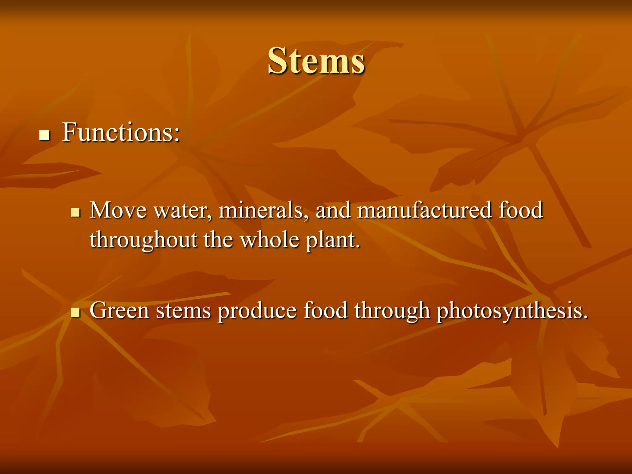 Stems
 Functions:
 Move water, minerals, and manufactured food
throughout the whole plant.
 Green stems produce food through photosynthesis.
 