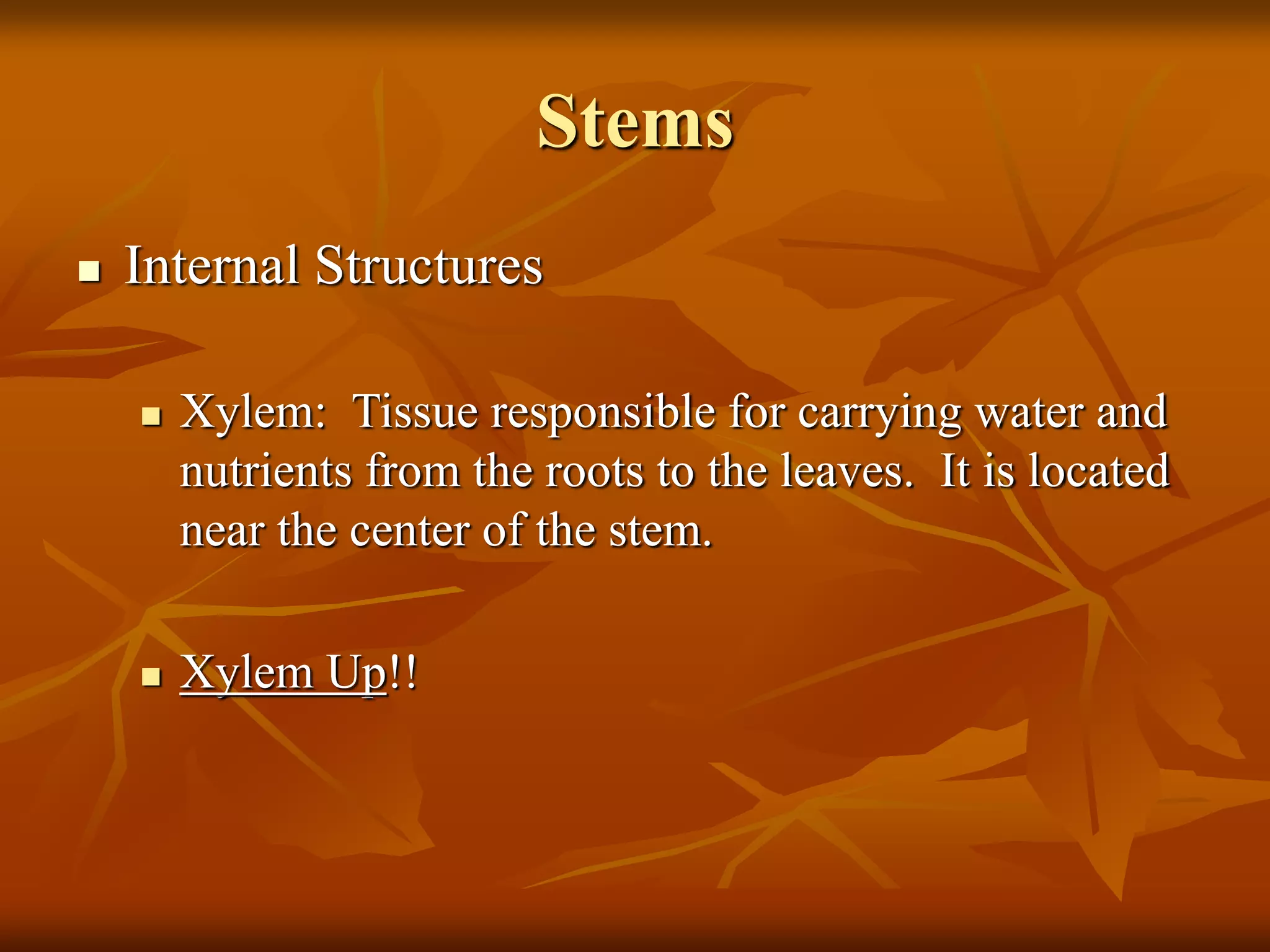 Stems
 Internal Structures
 Xylem: Tissue responsible for carrying water and
nutrients from the roots to the leaves. It is located
near the center of the stem.
 Xylem Up!!
 