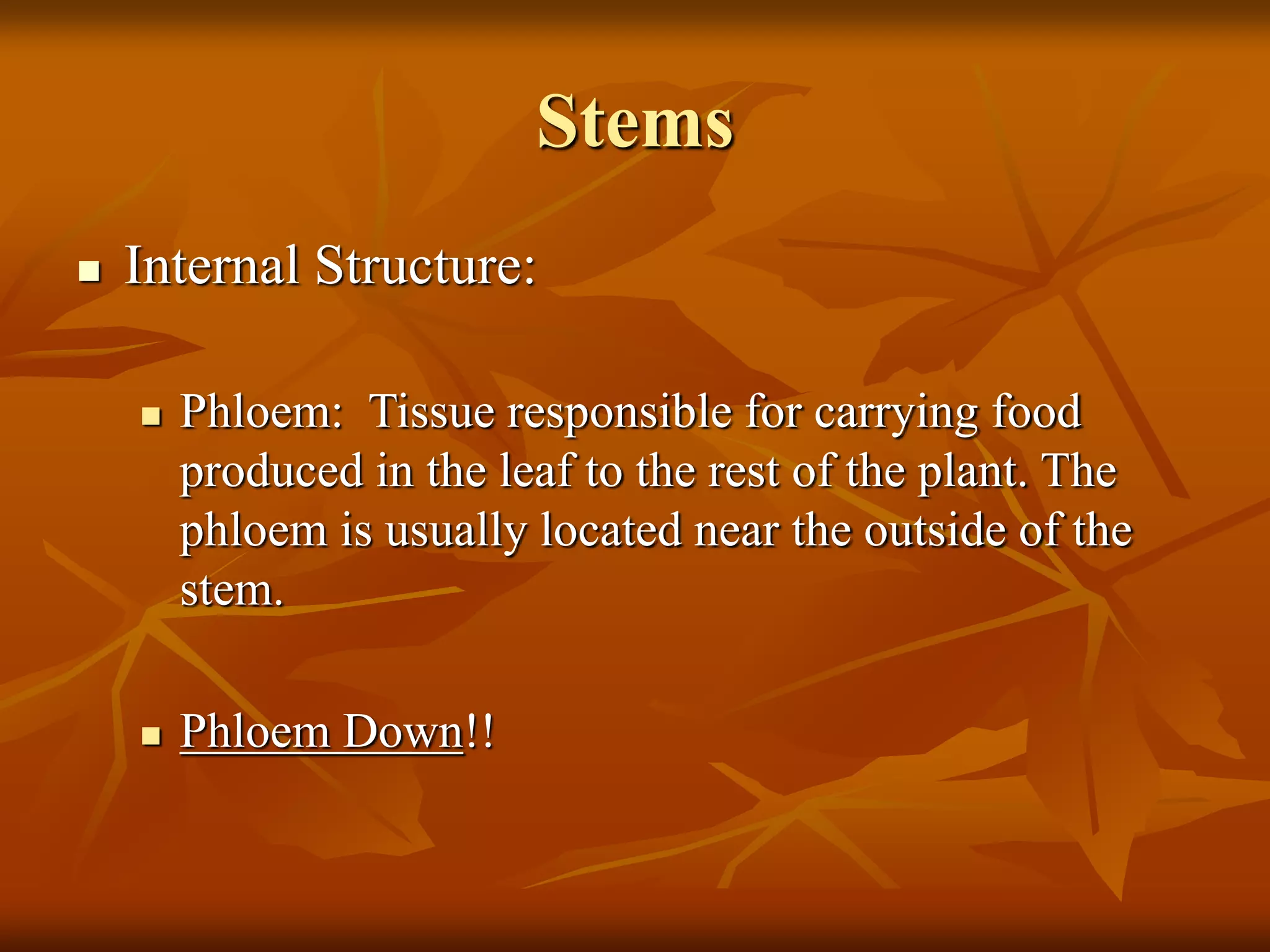 Stems
 Internal Structure:
 Phloem: Tissue responsible for carrying food
produced in the leaf to the rest of the plant. The
phloem is usually located near the outside of the
stem.
 Phloem Down!!
 