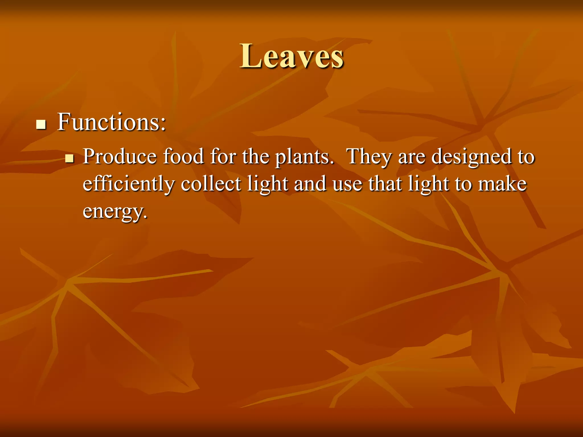 Leaves
 Functions:
 Produce food for the plants. They are designed to
efficiently collect light and use that light to make
energy.
 