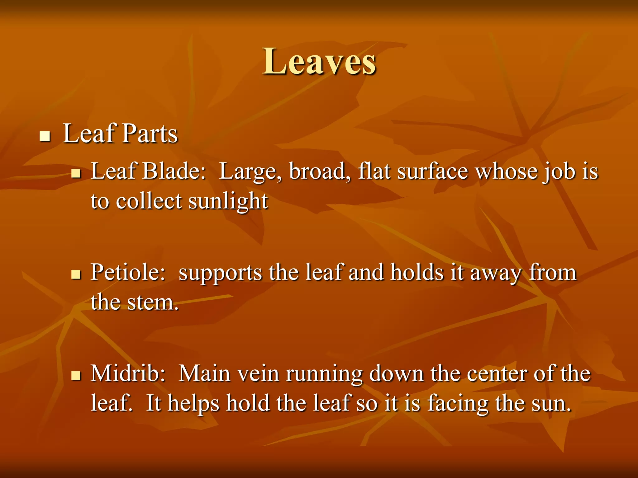 Leaves
 Leaf Parts
 Leaf Blade: Large, broad, flat surface whose job is
to collect sunlight
 Petiole: supports the leaf and holds it away from
the stem.
 Midrib: Main vein running down the center of the
leaf. It helps hold the leaf so it is facing the sun.
 