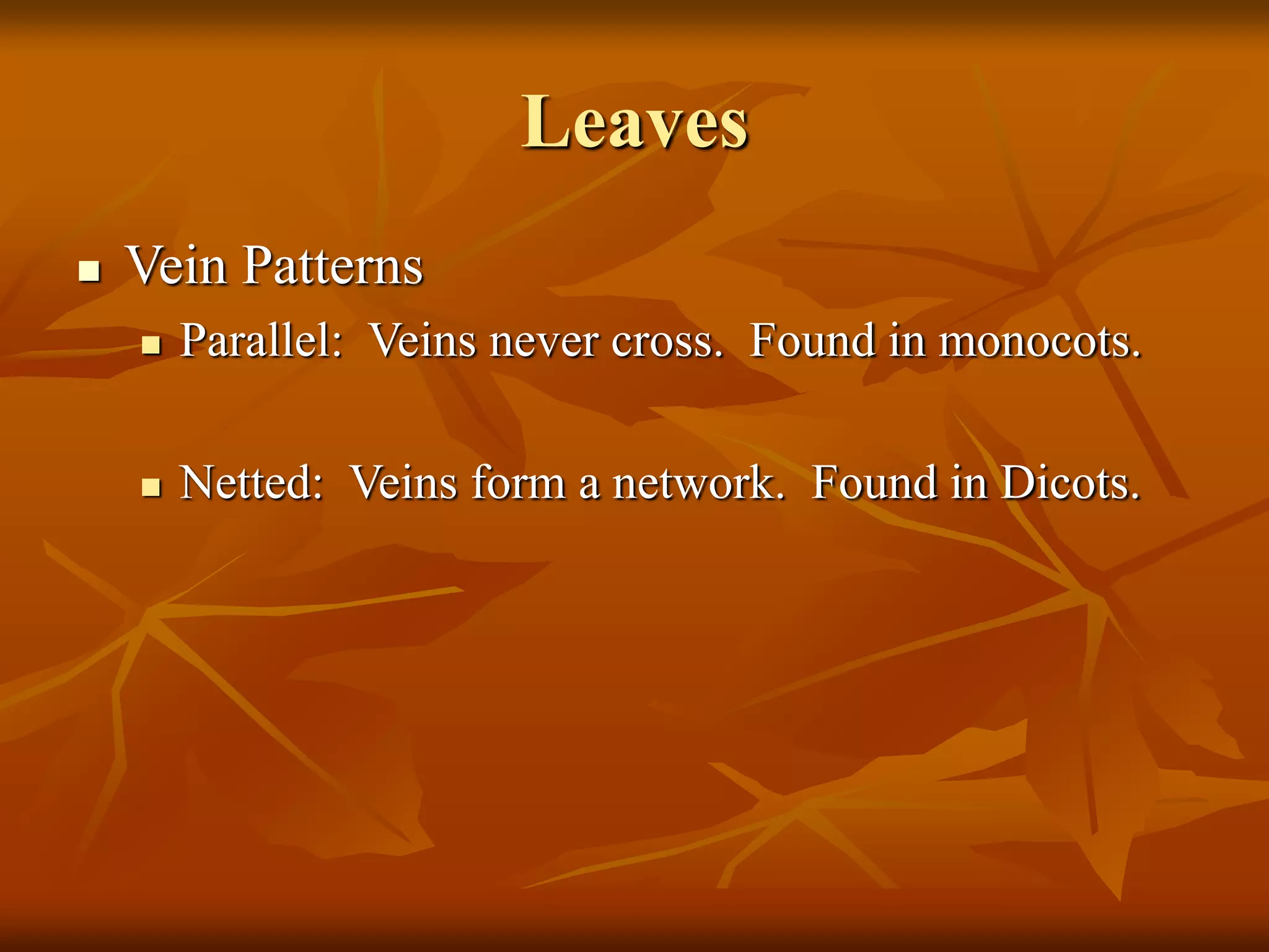 Leaves
 Vein Patterns
 Parallel: Veins never cross. Found in monocots.
 Netted: Veins form a network. Found in Dicots.
 