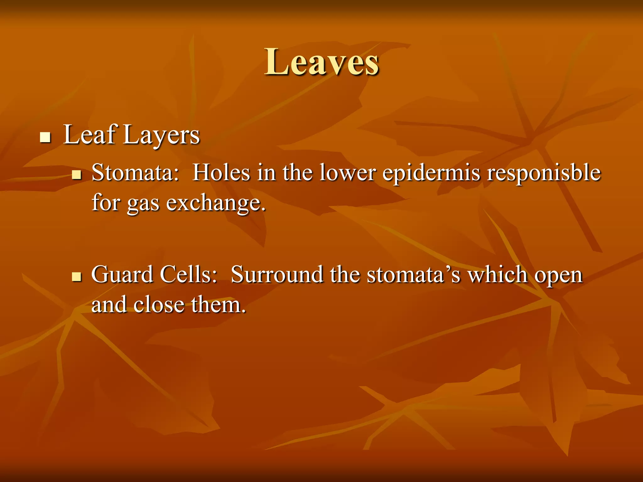 Leaves
 Leaf Layers
 Stomata: Holes in the lower epidermis responisble
for gas exchange.
 Guard Cells: Surround the stomata’s which open
and close them.
 