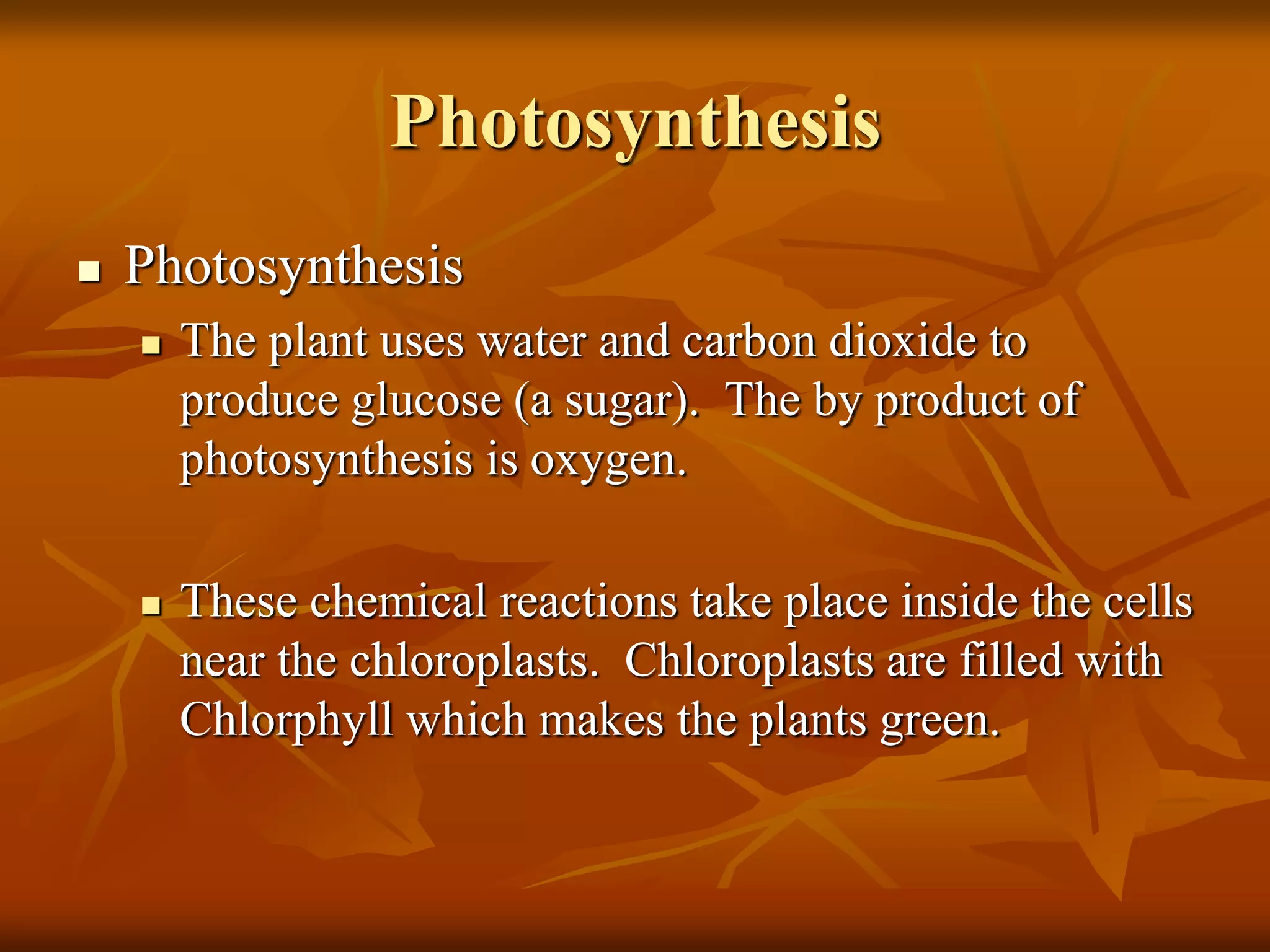 Photosynthesis
 Photosynthesis
 The plant uses water and carbon dioxide to
produce glucose (a sugar). The by product of
photosynthesis is oxygen.
 These chemical reactions take place inside the cells
near the chloroplasts. Chloroplasts are filled with
Chlorphyll which makes the plants green.
 