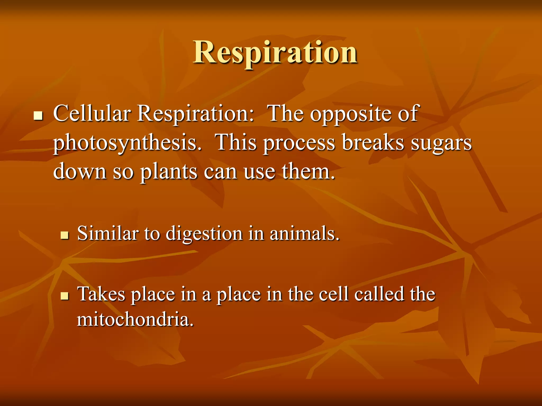 Respiration
 Cellular Respiration: The opposite of
photosynthesis. This process breaks sugars
down so plants can use them.
 Similar to digestion in animals.
 Takes place in a place in the cell called the
mitochondria.
 