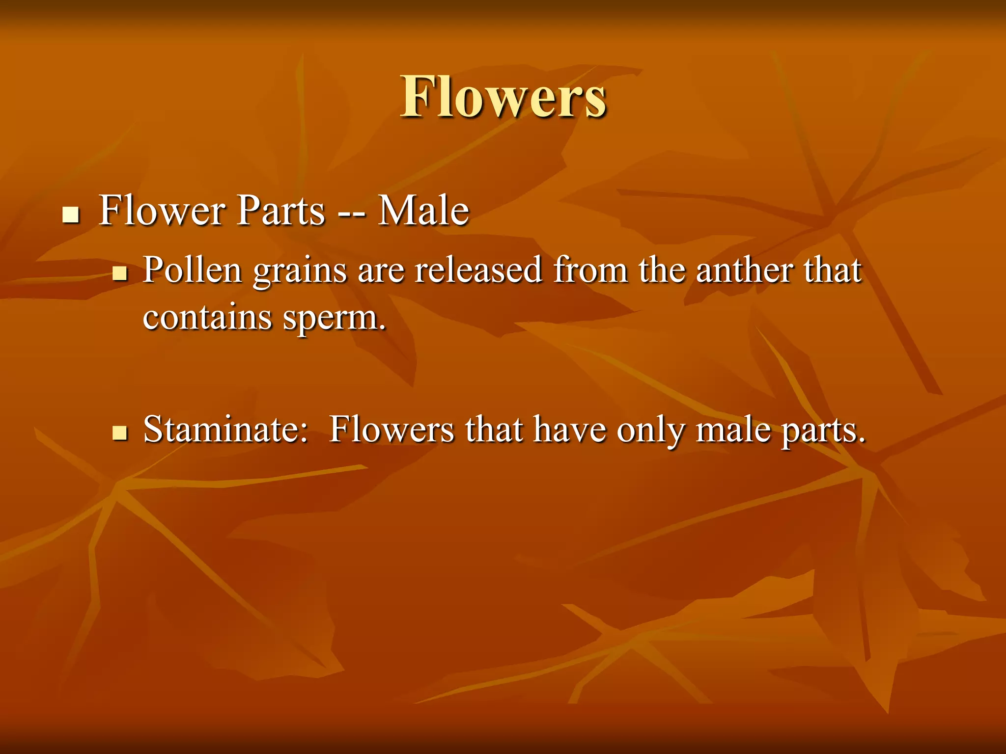 Flowers
 Flower Parts -- Male
 Pollen grains are released from the anther that
contains sperm.
 Staminate: Flowers that have only male parts.
 