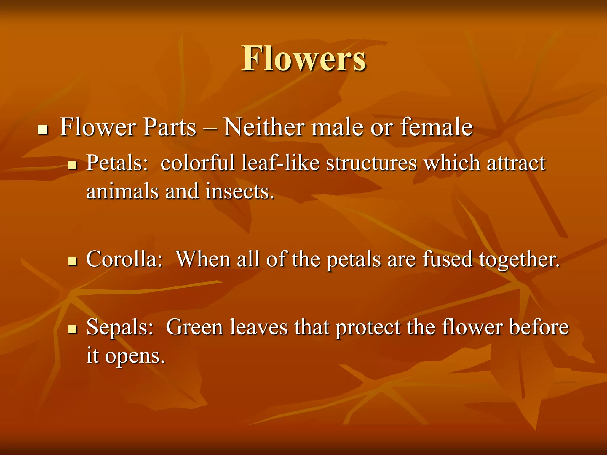 Flowers
 Flower Parts – Neither male or female
 Petals: colorful leaf-like structures which attract
animals and insects.
 Corolla: When all of the petals are fused together.
 Sepals: Green leaves that protect the flower before
it opens.
 