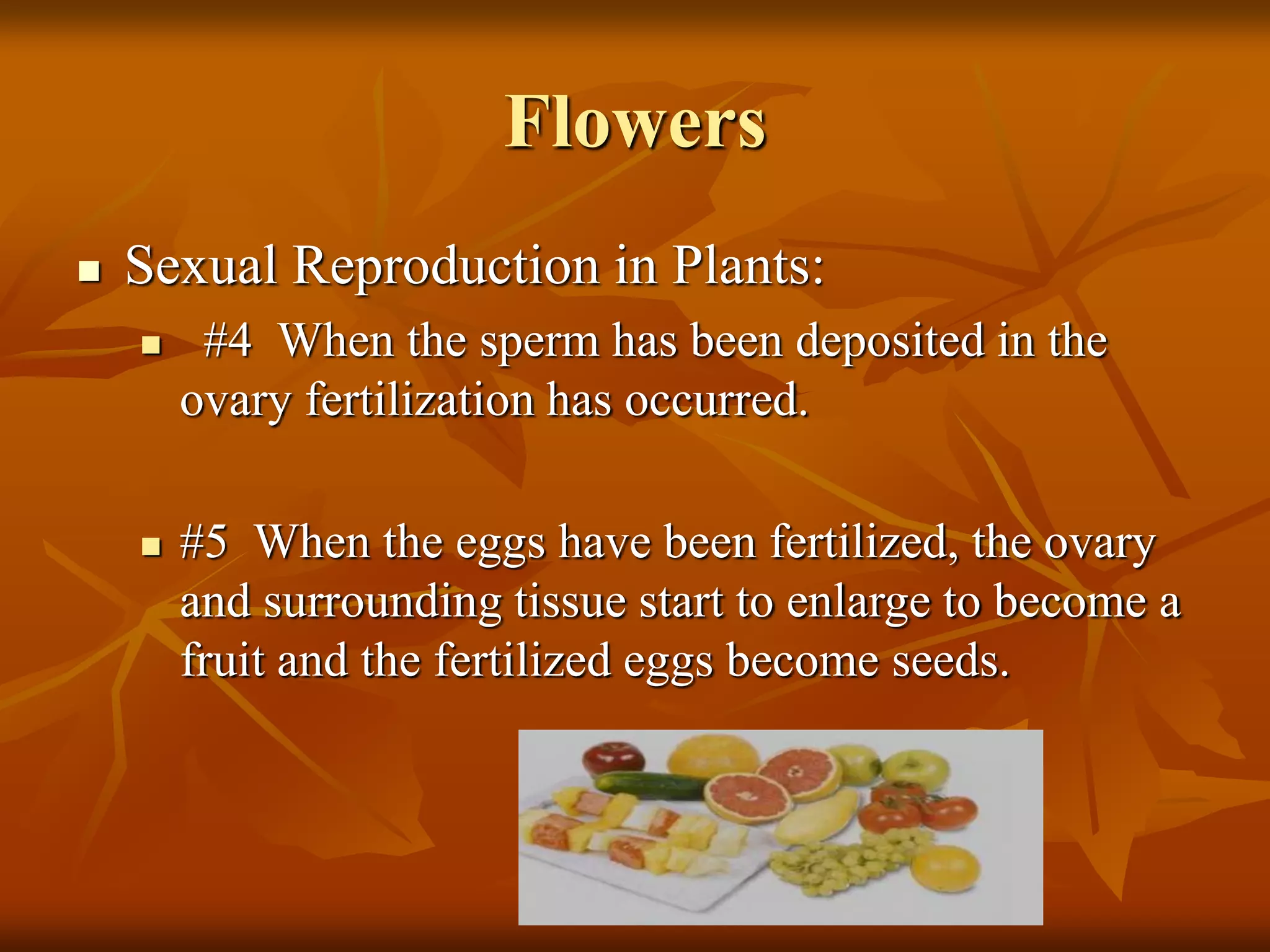 Flowers
 Sexual Reproduction in Plants:
 #4 When the sperm has been deposited in the
ovary fertilization has occurred.
 #5 When the eggs have been fertilized, the ovary
and surrounding tissue start to enlarge to become a
fruit and the fertilized eggs become seeds.
 