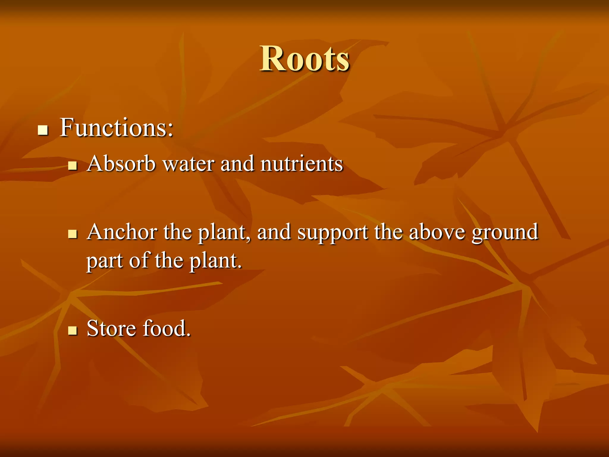 Roots
 Functions:
 Absorb water and nutrients
 Anchor the plant, and support the above ground
part of the plant.
 Store food.
 