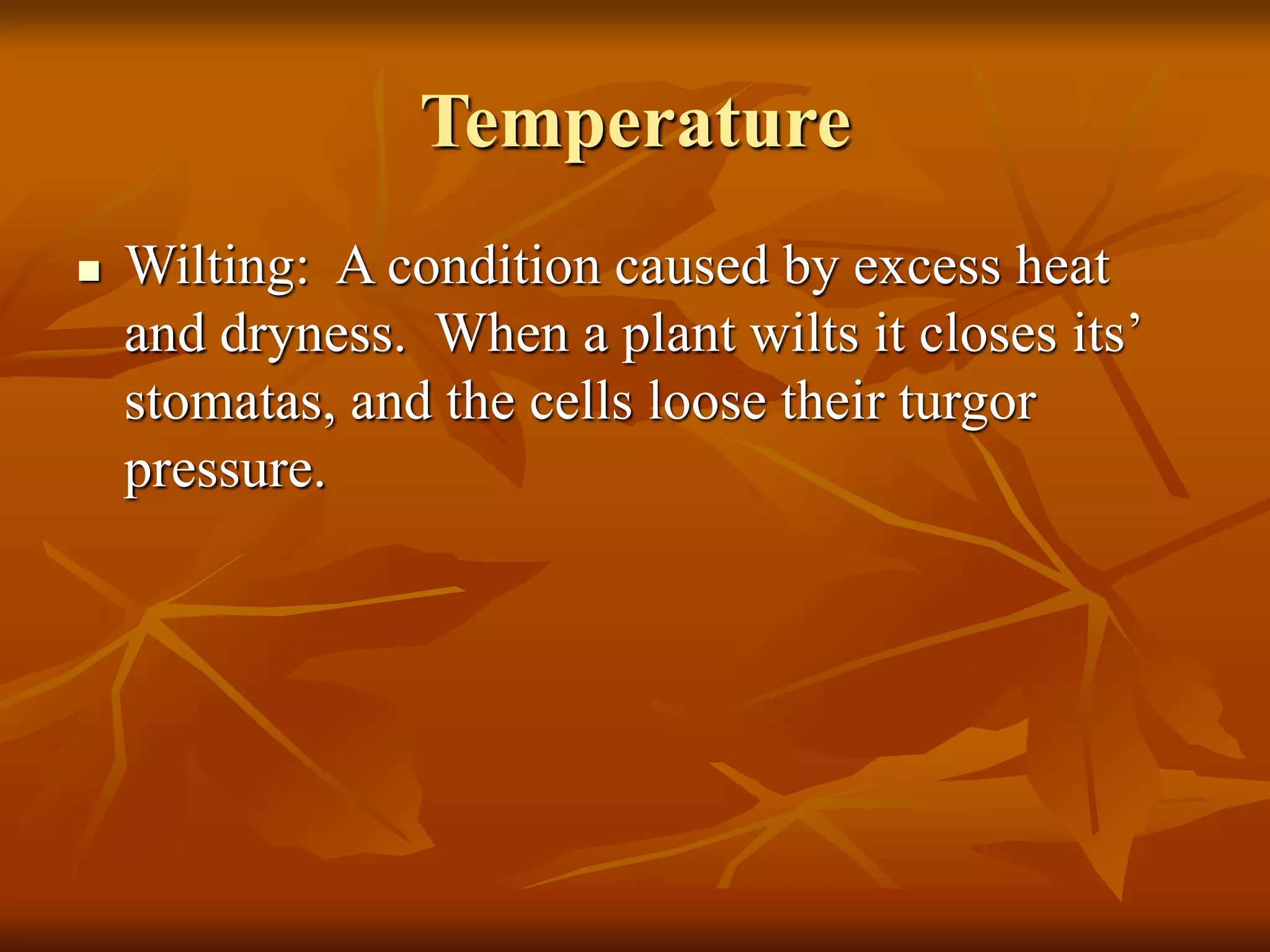 Temperature
 Wilting: A condition caused by excess heat
and dryness. When a plant wilts it closes its’
stomatas, and the cells loose their turgor
pressure.
 