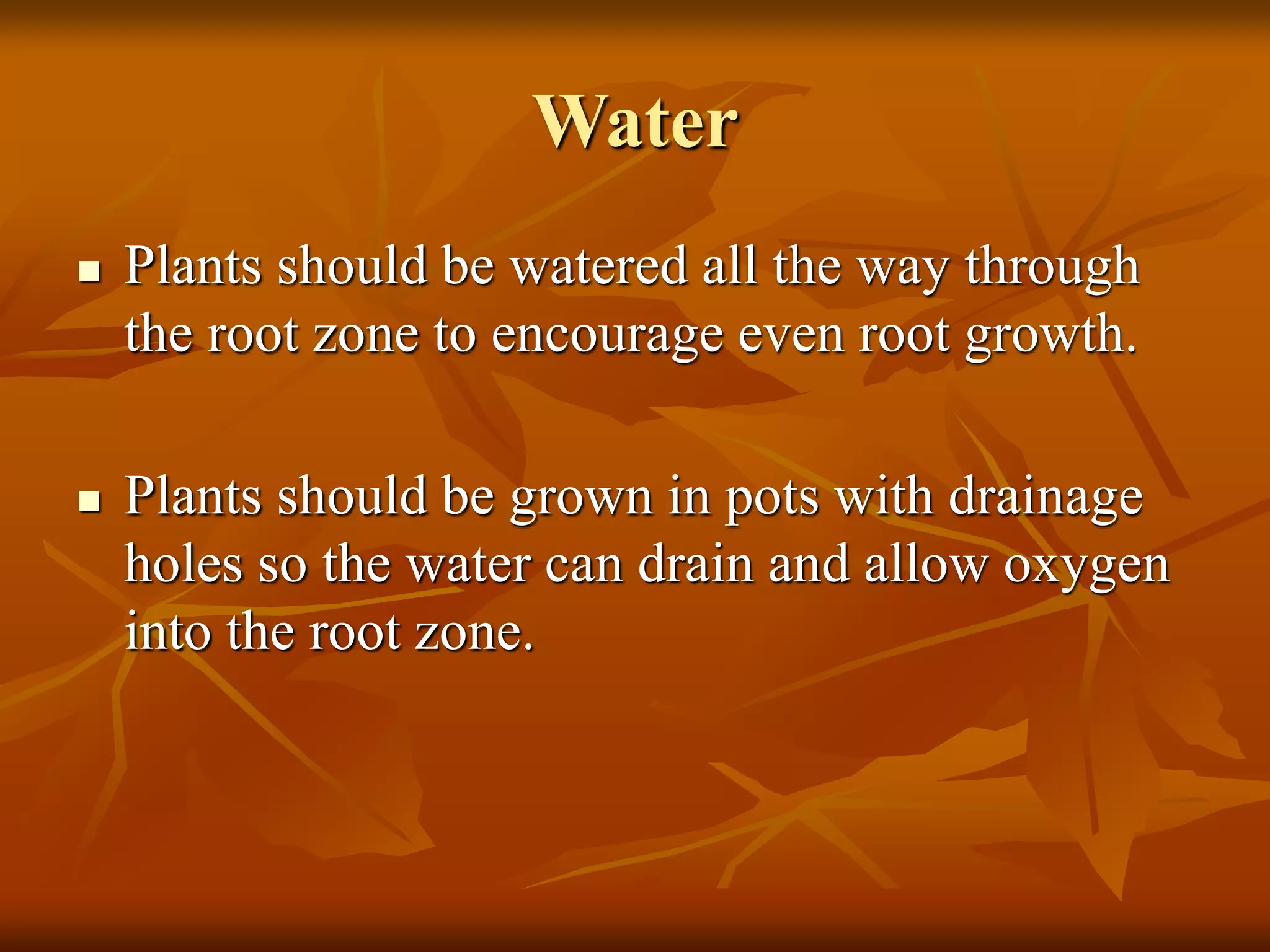 Water
 Plants should be watered all the way through
the root zone to encourage even root growth.
 Plants should be grown in pots with drainage
holes so the water can drain and allow oxygen
into the root zone.
 