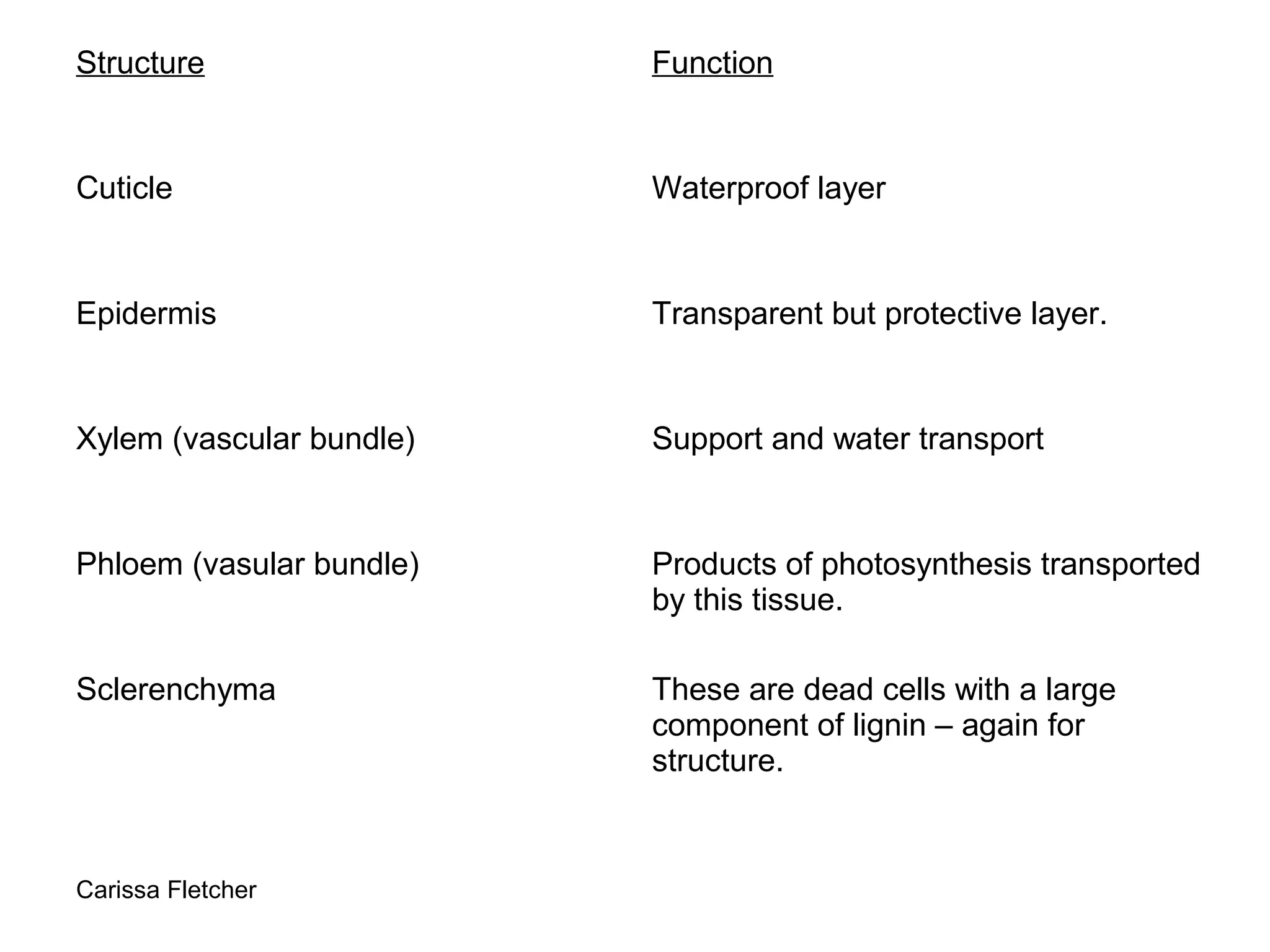 Plant structure and growth | PPT