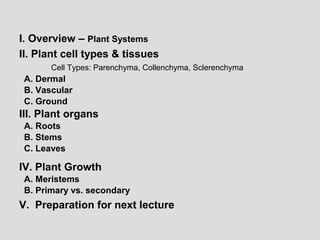 I. Overview – Plant Systems
II. Plant cell types & tissues
Cell Types: Parenchyma, Collenchyma, Sclerenchyma
A. Dermal
B. Vascular
C. Ground
III. Plant organs
A. Roots
B. Stems
C. Leaves
IV. Plant Growth
A. Meristems
B. Primary vs. secondary
V. Preparation for next lecture
 
