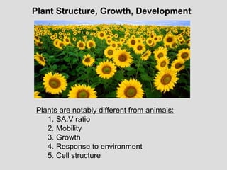 Plant Structure, Growth, Development
Plants are notably different from animals:
1. SA:V ratio
2. Mobility
3. Growth
4. Response to environment
5. Cell structure
 