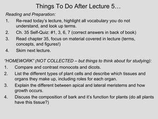 Things To Do After Lecture 5…
Reading and Preparation:
1. Re-read today’s lecture, highlight all vocabulary you do not
understand, and look up terms.
2. Ch. 35 Self-Quiz: #1, 3, 6, 7 (correct answers in back of book)
3. Read chapter 35, focus on material covered in lecture (terms,
concepts, and figures!)
4. Skim next lecture.
“HOMEWORK” (NOT COLLECTED – but things to think about for studying):
1. Compare and contrast monocots and dicots.
2. List the different types of plant cells and describe which tissues and
organs they make up, including roles for each organ.
3. Explain the different between apical and lateral meristems and how
growth occurs.
4. Discuss the composition of bark and it’s function for plants (do all plants
have this tissue?)
 