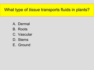 What type of tissue transports fluids in plants?
A. Dermal
B. Roots
C. Vascular
D. Stems
E. Ground
 