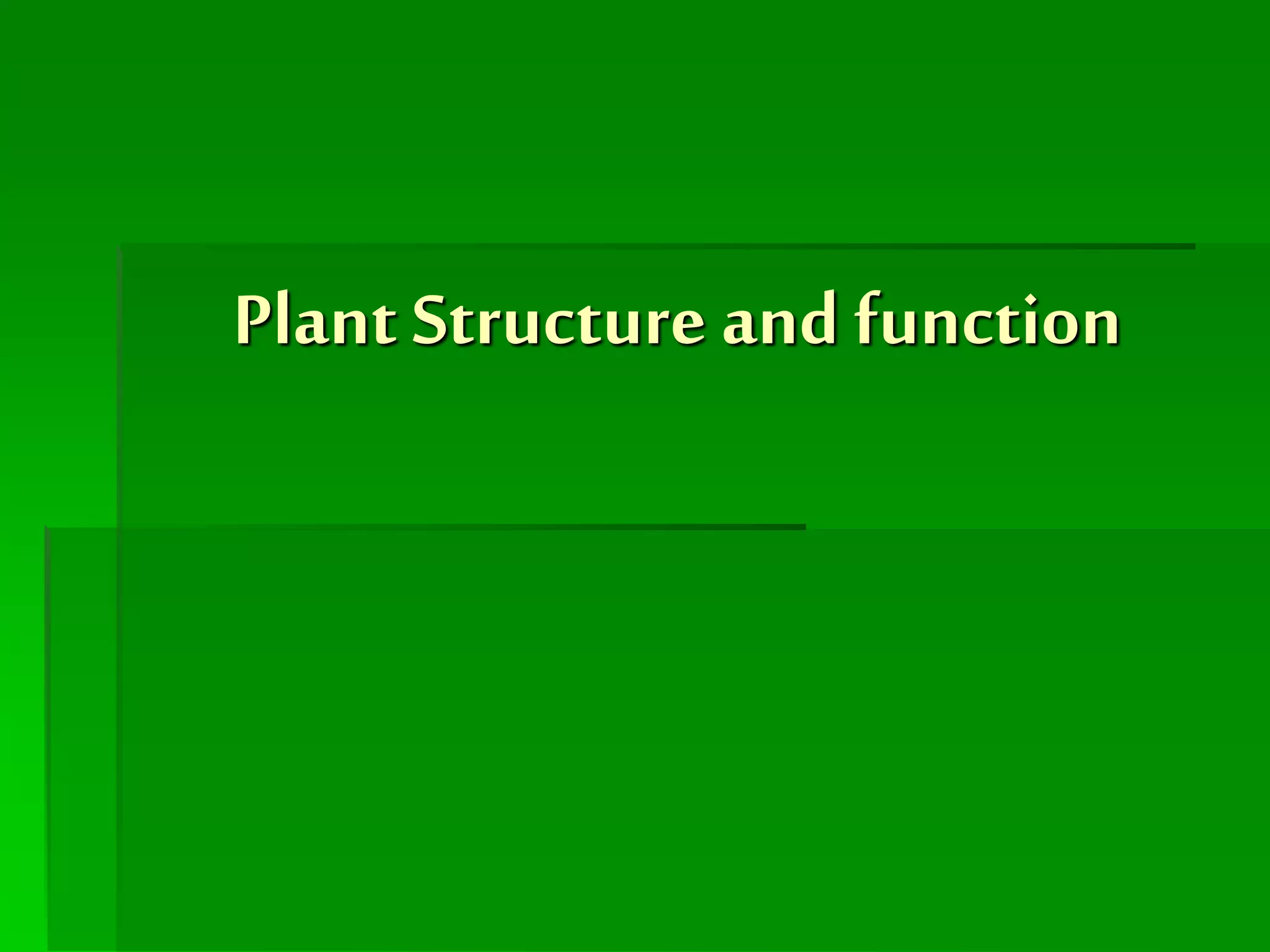 Plant structure and function powerpoint | PPT | Gardening | Home & Garden