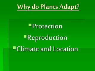 Why do Plants Adapt?
Protection
Reproduction
Climate and Location
 