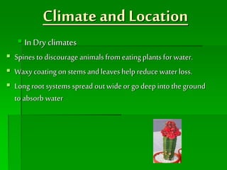 Climate and Location
 In Dry climates
 Spines to discourage animalsfrom eatingplants for water.
 Waxy coating on stems and leaves helpreduce water loss.
 Long root systems spread outwideor go deep into theground
to absorb water
 