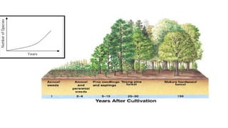 Plant Succession: Types and role in Ecology.pptx