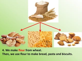 4. We make flour from wheat.
Then, we use flour to make bread, pasta and biscuits.
 