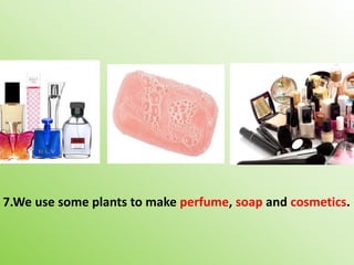 7.We use some plants to make perfume, soap and cosmetics.
 