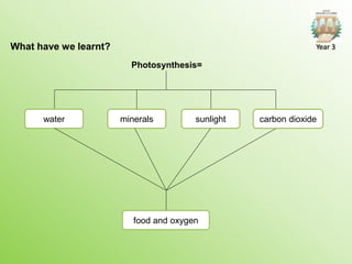 What have we learnt?
water carbon dioxide
Photosynthesis=
minerals sunlight
food and oxygen
Year 3
 