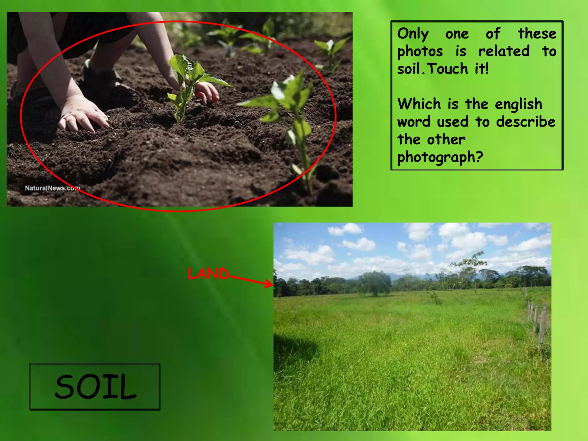 SOIL
Only one of these
photos is related to
soil.Touch it!
Which is the english
word used to describe
the other
photograph?
LAND