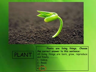 PLANT
Plants are living things. Choose
the correct answer to this sentence:
All living things are born, grow, reproduce
an...