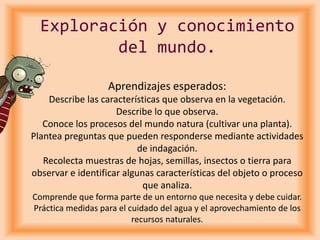Exploración y conocimiento
del mundo.
Aprendizajes esperados:
Describe las características que observa en la vegetación.
Describe lo que observa.
Conoce los procesos del mundo natura (cultivar una planta).
Plantea preguntas que pueden responderse mediante actividades
de indagación.
Recolecta muestras de hojas, semillas, insectos o tierra para
observar e identificar algunas características del objeto o proceso
que analiza.
Comprende que forma parte de un entorno que necesita y debe cuidar.
Práctica medidas para el cuidado del agua y el aprovechamiento de los
recursos naturales.
 