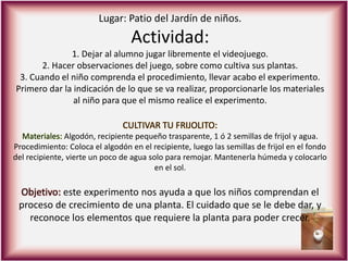 Lugar: Patio del Jardín de niños.
Actividad:
1. Dejar al alumno jugar libremente el videojuego.
2. Hacer observaciones del juego, sobre como cultiva sus plantas.
3. Cuando el niño comprenda el procedimiento, llevar acabo el experimento.
Primero dar la indicación de lo que se va realizar, proporcionarle los materiales
al niño para que el mismo realice el experimento.
CULTIVAR TU FRIJOLITO:
Materiales: Algodón, recipiente pequeño trasparente, 1 ó 2 semillas de frijol y agua.
Procedimiento: Coloca el algodón en el recipiente, luego las semillas de frijol en el fondo
del recipiente, vierte un poco de agua solo para remojar. Mantenerla húmeda y colocarlo
en el sol.
Objetivo: este experimento nos ayuda a que los niños comprendan el
proceso de crecimiento de una planta. El cuidado que se le debe dar, y
reconoce los elementos que requiere la planta para poder crecer.
 