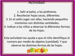 Actividad:
1. Salir al patio, a las jardineras.
2. Recolectar hojas secas, diferentes.
3. En el salón jugar con ellas, haciendo pequeños
montones con distintas cantidades.
4. Indicar a los niños a observar la diferentes formas
de las hojas.
Esta actividad nos ayuda a que el niño identifique el
numero por medio de objetos (cantidad). Y que
observe las distintas formas de las hojas.
 
