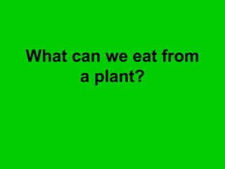 What can we eat from
a plant?
 