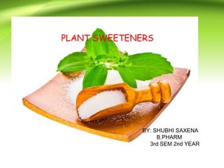 PLANT SWEETENERS
BY: SHUBHI SAXENA
B.PHARM
3rd SEM 2nd YEAR
 