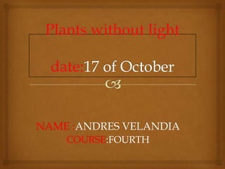 NAME :ANDRES VELANDIA
COURSE:FOURTH

 