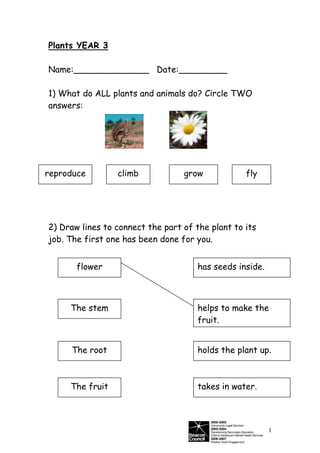 Plants YEAR 3

Name:______________ Date:_________

1) What do ALL plants and animals do? Circle TWO
answers:




reproduce        climb            grow            fly




2) Draw lines to connect the part of the plant to its
job. The first one has been done for you.


       flower                         has seeds inside.



     The stem                         helps to make the
                                      fruit.


     The root                         holds the plant up.



     The fruit                        takes in water.




                                                          1
 