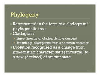 Represented in the form of a cladogram/Represented in the form of a cladogram/
phylogenetic tree
CladogramCladogram
• Lines- lineage or clades; denote descent
• Branching- divergence from a common ancestorBranching divergence from a common ancestor
Evolution recognized as a change from
pre-existing character state(ancestral) topre existing character state(ancestral) to
a new (derived) character state
 